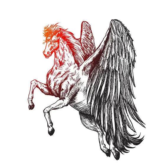 Добавление характеристики продавцом для маркетплейса CS-Cart Multi-Vendor, фото 